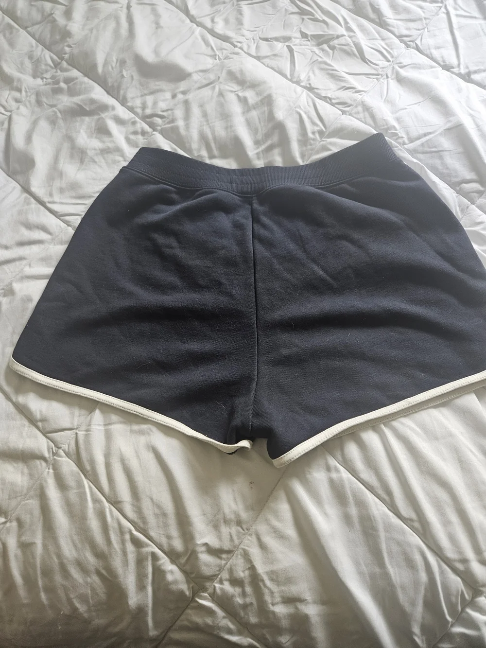 Coach Navy Shorts with White Trim